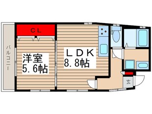 タウンコート市川２丁目の物件間取画像